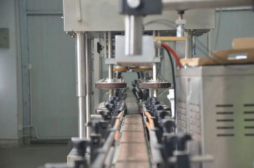 揭曉 我市在第三屆全國蝦蟹產(chǎn)業(yè)發(fā)展高峰論壇喜獲豐收