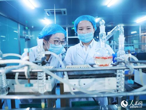 活力寧夏丨科技為 小紅果 插上騰飛翅膀