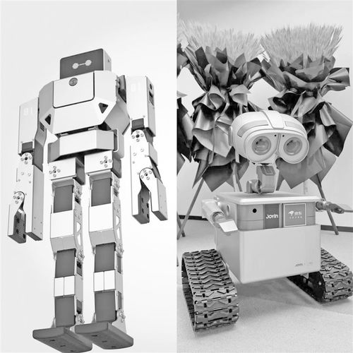 商業(yè)化路徑漸明 資本競逐家用機(jī)器人賽道