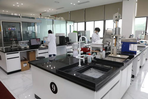 聚力打造協同創新引領區和創新策源地 唐川調研科技創新 研發 企業